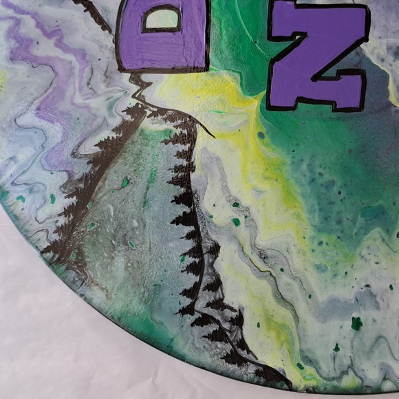 Hand Crafted Vinyl Record Sign DO NOT BID Auction Paddle Acrylic Fluid Art - Picture 5 of 9